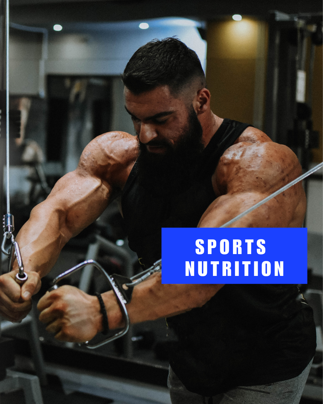 Sports Nutrition